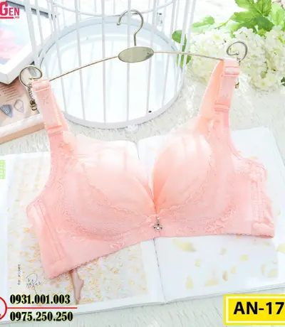 Áo Ngực Không Gọng Cao Cấp AN-170