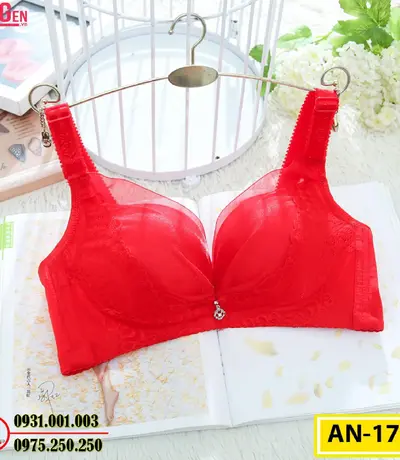 Áo Ngực Không Gọng Cao Cấp AN-170