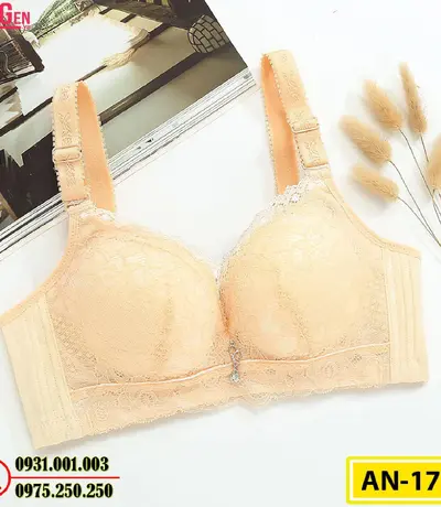 Áo Ngực Bản To Cao Cấp Cod: AN-172