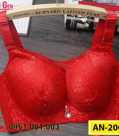 Áo Ngực Không Gọng Nâng Ngực Cao Cấp AN-200