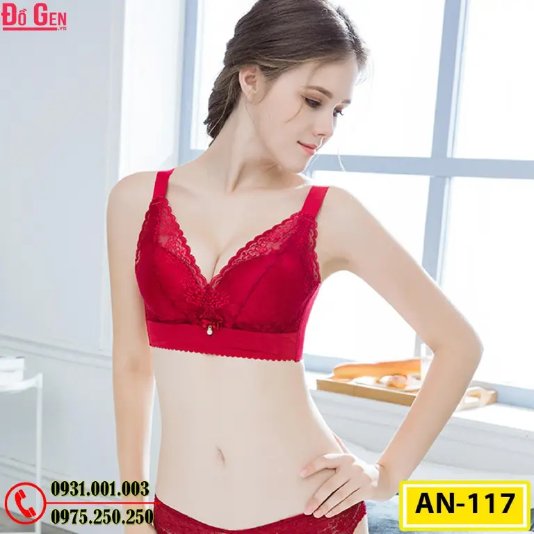 Áo Ngực Không Gọng Cao Cấp AN-117