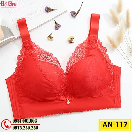 Áo Ngực Không Gọng Cao Cấp AN-117