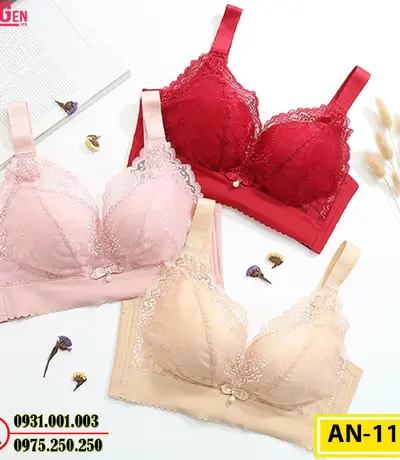 Áo Ngực Không Gọng Cao Cấp AN-117