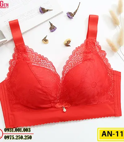 Áo Ngực Không Gọng Cao Cấp AN-117
