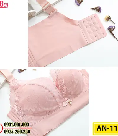 Áo Ngực Không Gọng Cao Cấp AN-117