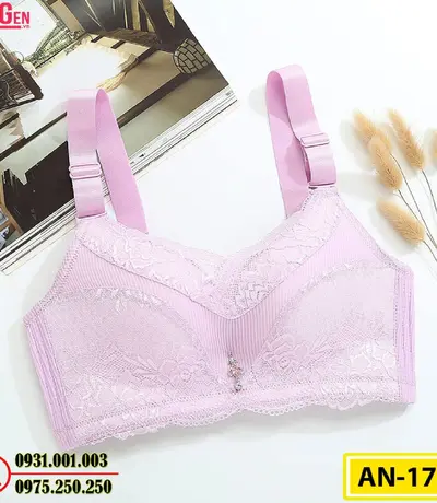 Áo Ngực Không Gọng Cao Cấp AN-173