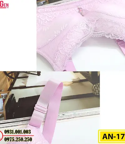 Áo Ngực Không Gọng Cao Cấp AN-173