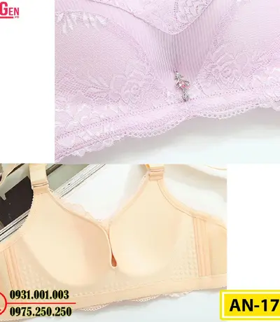 Áo Ngực Không Gọng Cao Cấp AN-173