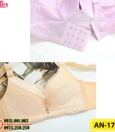 Áo Ngực Không Gọng Cao Cấp AN-173