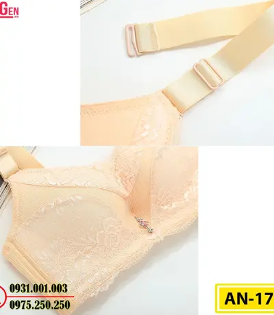 Áo Ngực Không Gọng Cao Cấp AN-173