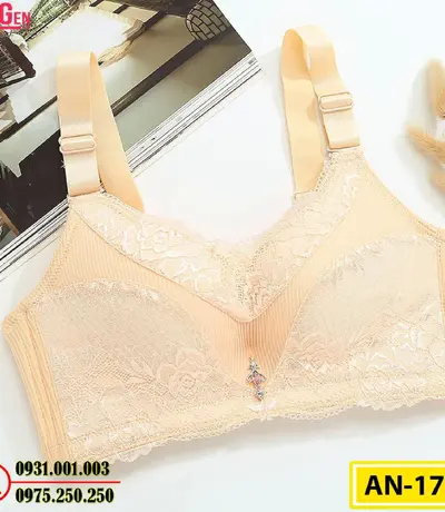 Áo Ngực Không Gọng Cao Cấp AN-173