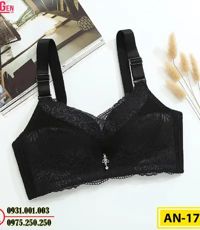 Áo Ngực Không Gọng Cao Cấp AN-173