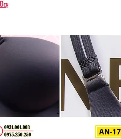 Áo Ngực Cao Cấp Cod: AN-174