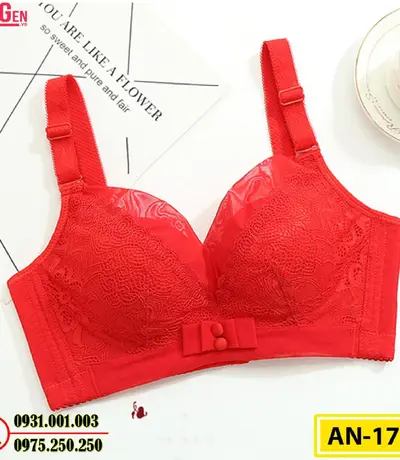 Áo Lót Ngực Không Gọng AN-176