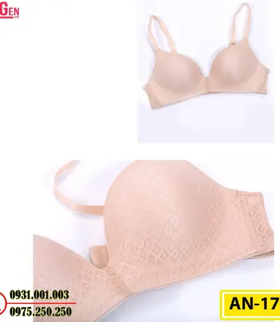 Áo Ngực Không Gọng Cao Cấp AN-178