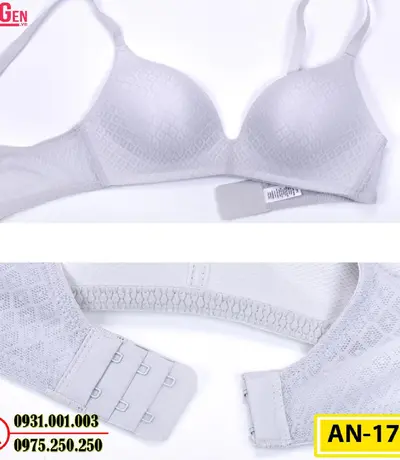 Áo Ngực Không Gọng Cao Cấp AN-178