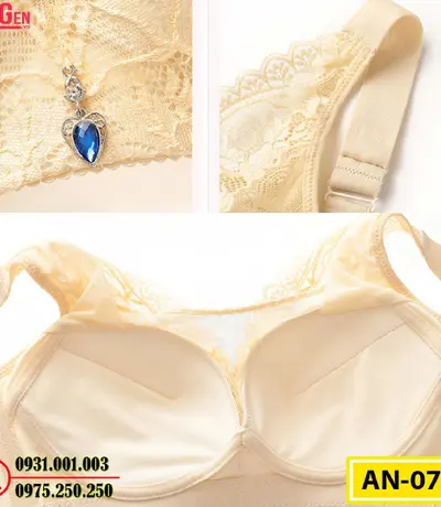 Áo Ngực Bản To Cao Cấp Cod: AN-073