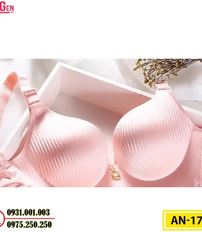 Áo Ngực Không Gọng Độn 8 Phân Cao Cấp AN-179