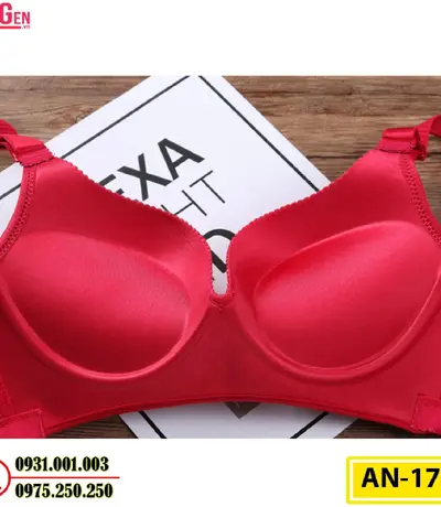 Áo Ngực Không Gọng Độn 8 Phân Cao Cấp AN-179