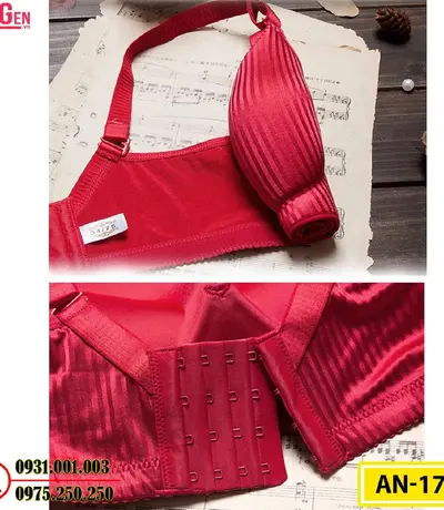 Áo Ngực Không Gọng Độn 8 Phân Cao Cấp AN-179