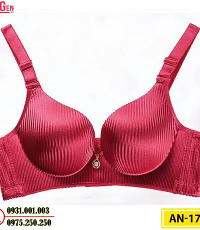 Áo Ngực Không Gọng Độn 8 Phân Cao Cấp AN-179