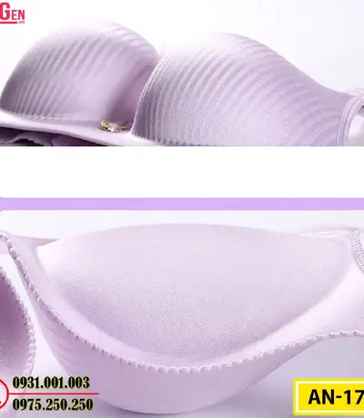 Áo Ngực Không Gọng Độn 8 Phân Cao Cấp AN-179