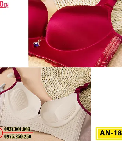 Áo Lót Ngực Không Gọng Cao Cấp AN-180