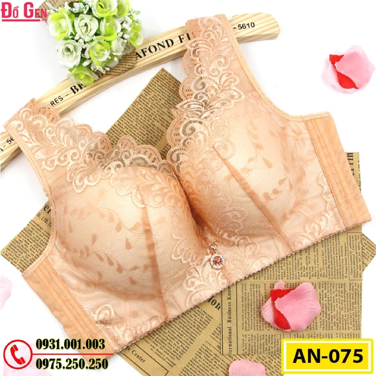 Áo Lót Nâng Ngực Cao Cấp AN-075