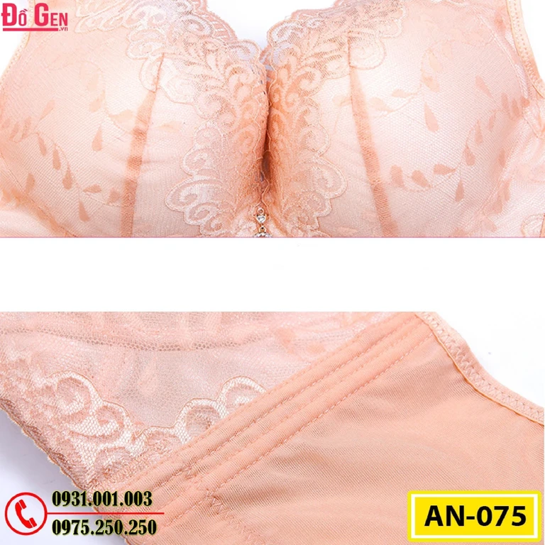 Áo Lót Nâng Ngực Cao Cấp AN-075