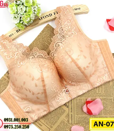 Áo Lót Nâng Ngực Cao Cấp AN-075