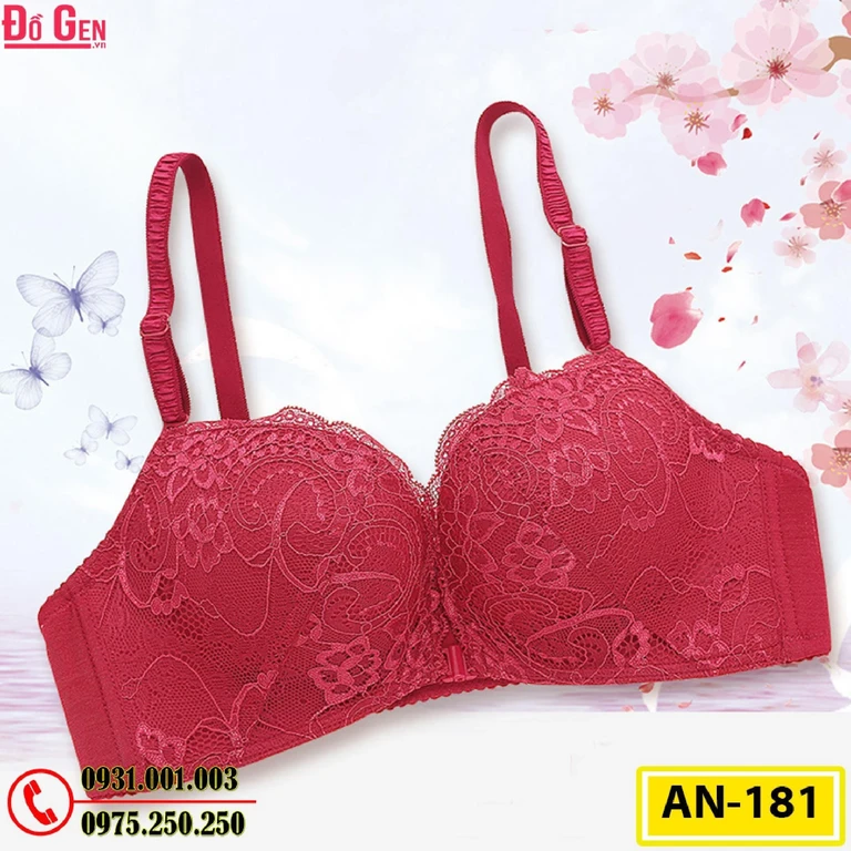 Áo Lót Ngực Cao Cấp AN-181