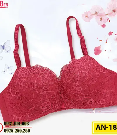 Áo Lót Ngực Cao Cấp AN-181