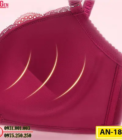 Áo Lót Ngực Cao Cấp AN-181