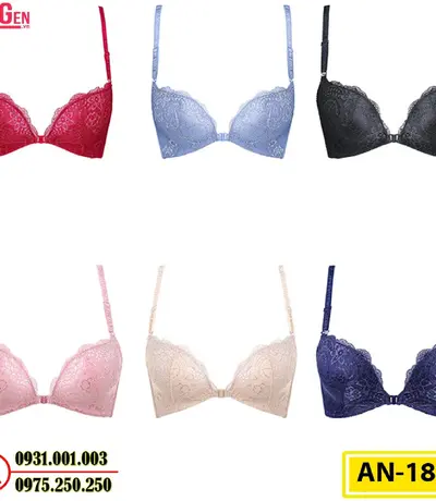 Áo Lót Ngực Cao Cấp AN-181