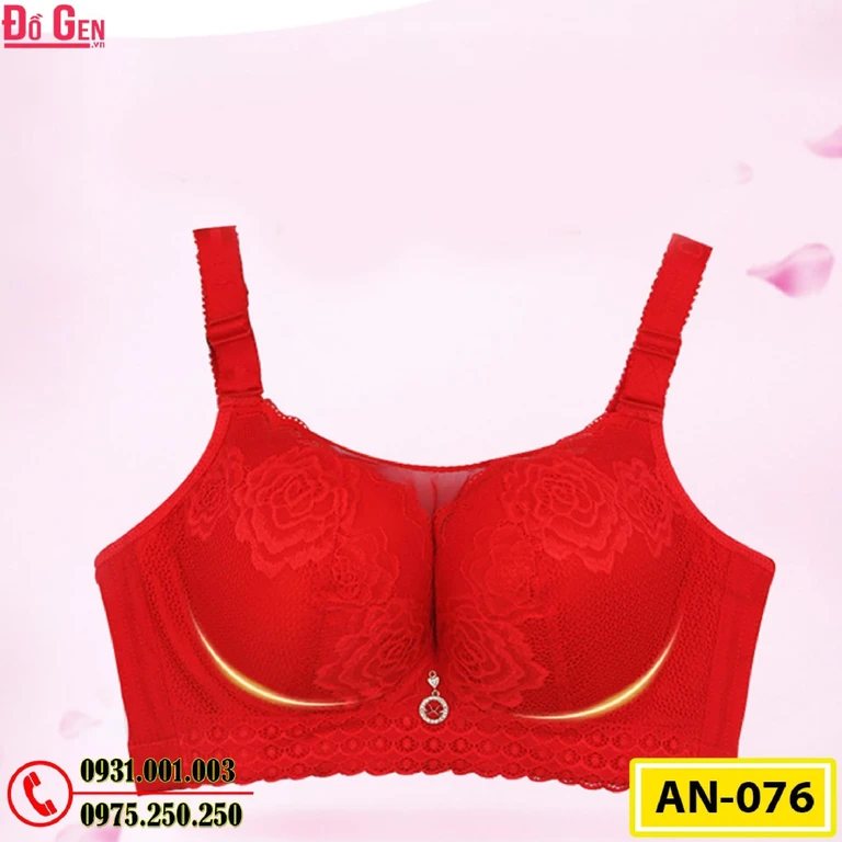 Áo Ngực Không Gọng Cao Cấp AN-076