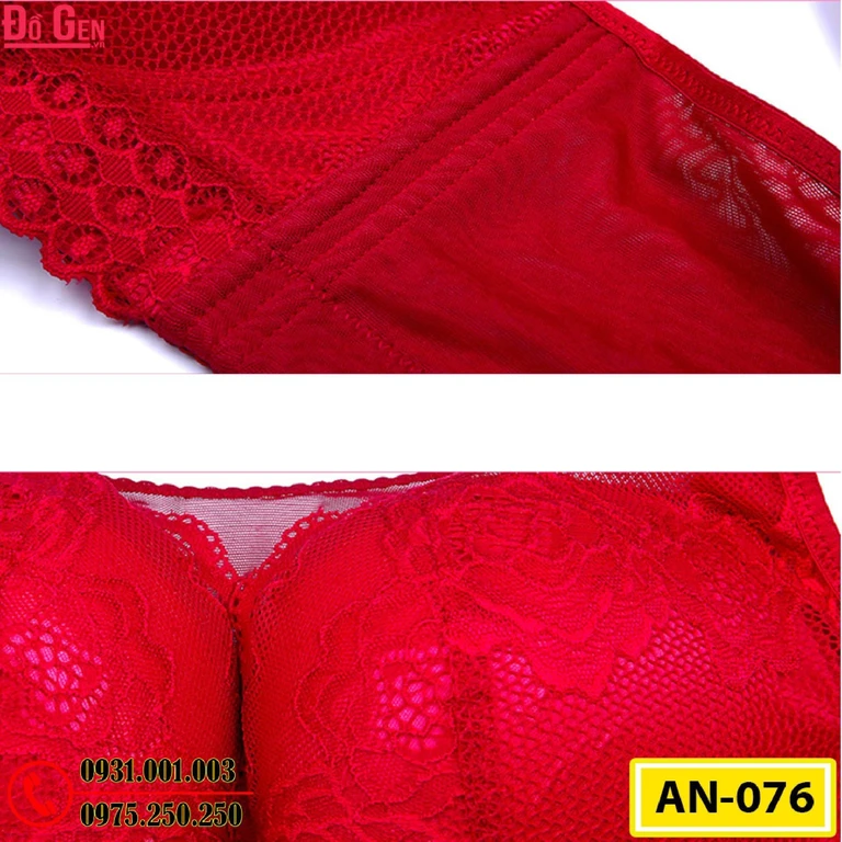 Áo Ngực Không Gọng Cao Cấp AN-076