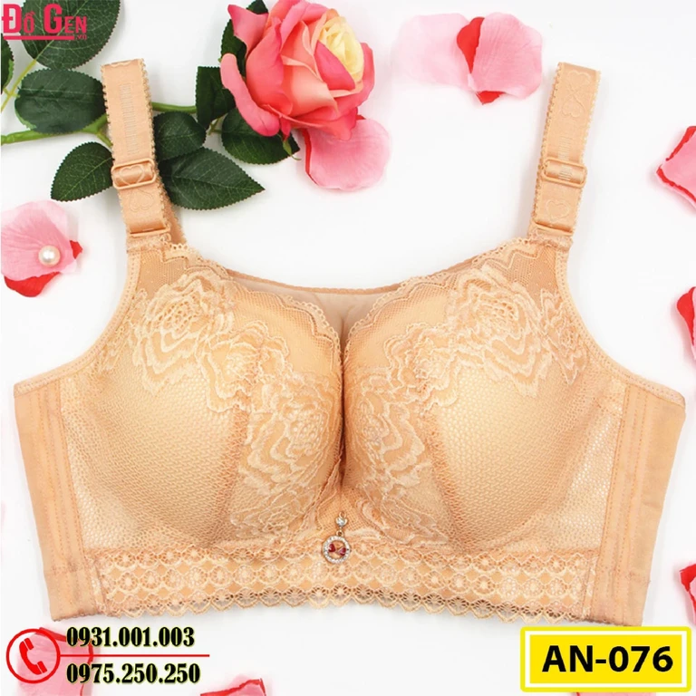 Áo Ngực Không Gọng Cao Cấp AN-076