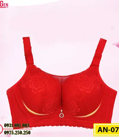 Áo Ngực Không Gọng Cao Cấp AN-076