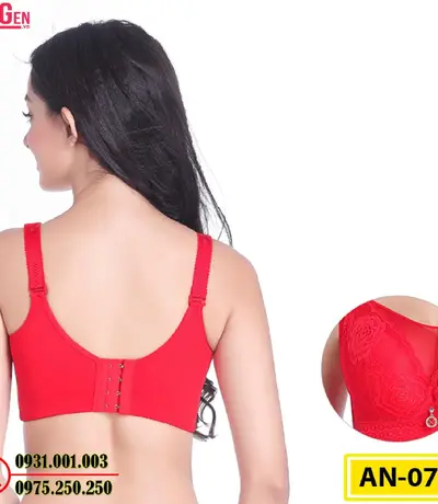 Áo Ngực Không Gọng Cao Cấp AN-076