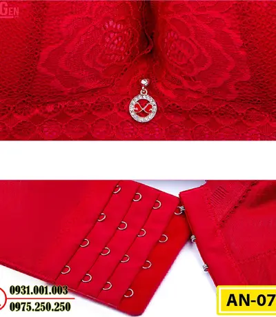 Áo Ngực Không Gọng Cao Cấp AN-076