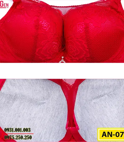 Áo Ngực Không Gọng Cao Cấp AN-076