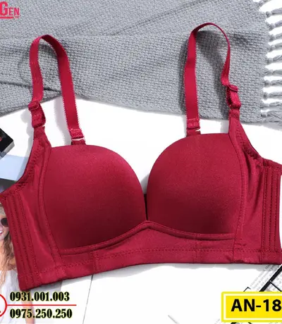 Áo Ngực Không Gọng Cao Cấp AN-182