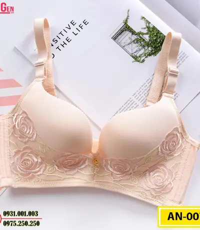 Áo Lót Nâng Ngực Cao Cấp AN-007
