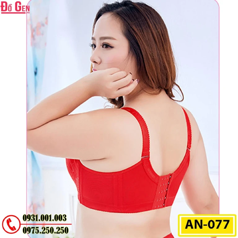 Áo Lót Nâng Ngực Cao Cấp Big Size AN-077