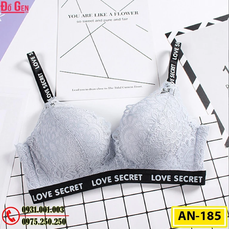 Áo Lót Độn Ngực Không Gọng AN-185