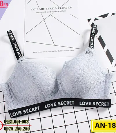 Áo Lót Độn Ngực Không Gọng AN-185