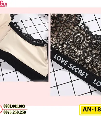 Áo Lót Độn Ngực Không Gọng AN-185