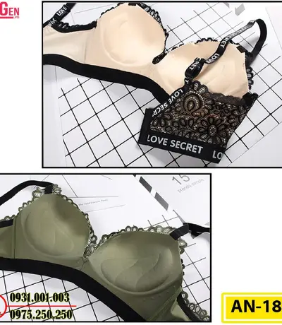 Áo Lót Độn Ngực Không Gọng AN-185