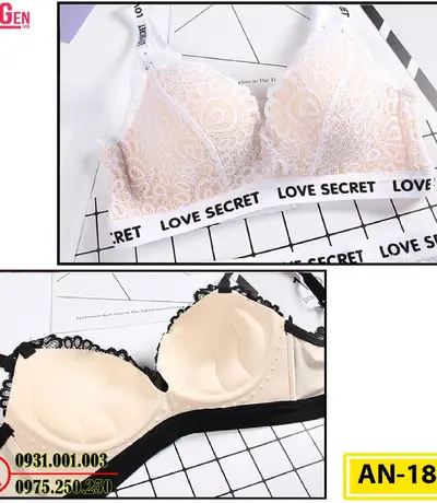 Áo Lót Độn Ngực Không Gọng AN-185