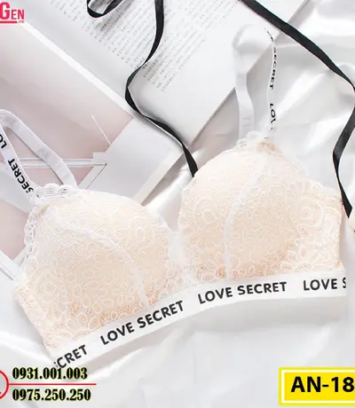 Áo Lót Độn Ngực Không Gọng AN-185